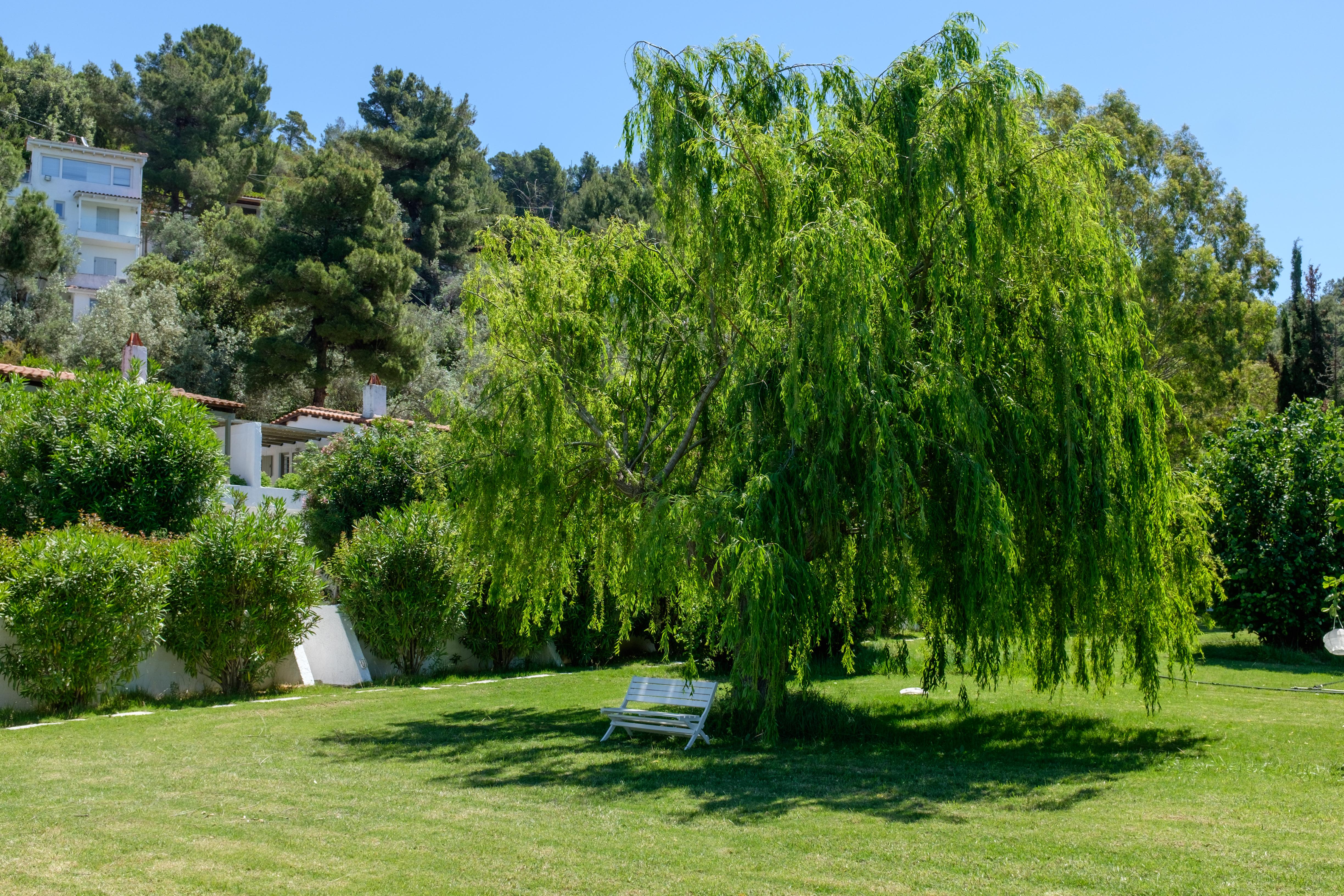 Skiathos Holidays &