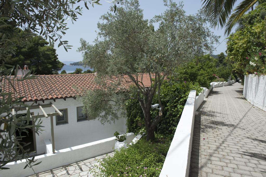 Skiathos Holidays & Aparthotel