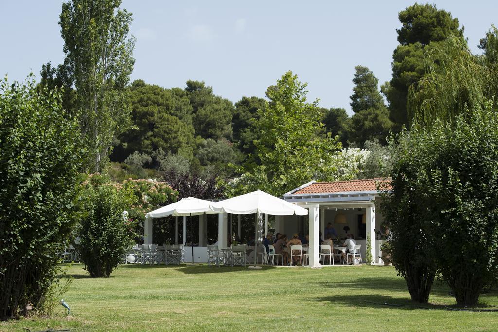 Aparthotel Skiathos Holidays &