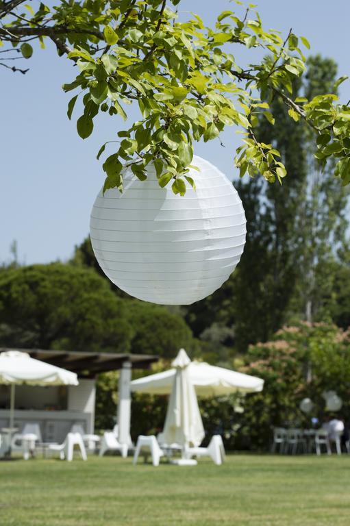 Skiathos Holidays & Aparthotel