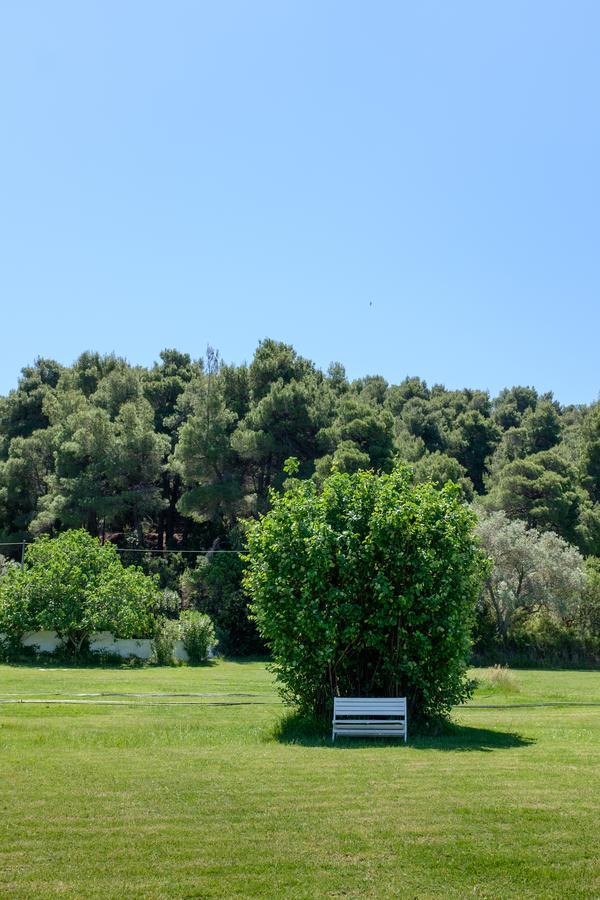 Skiathos Holidays & Aparthotel Vromolimnos